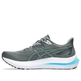 GT-2000 12 “Steel Grey Digital Aqua”